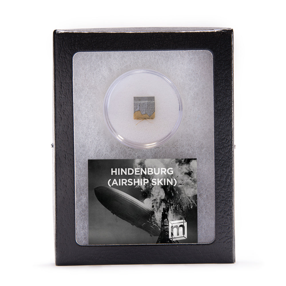 Hindenburg Airship Skin