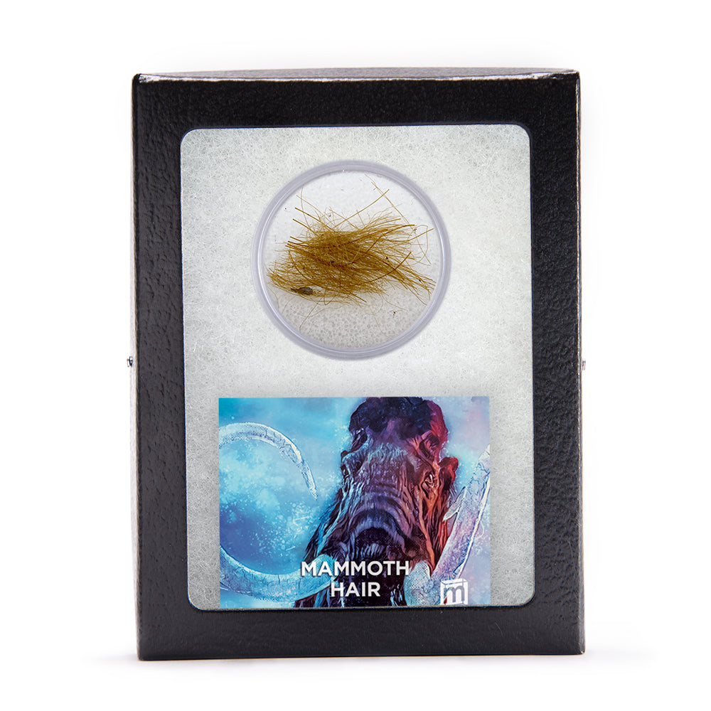 Mammoth Hair