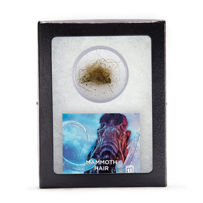 Mammoth Hair