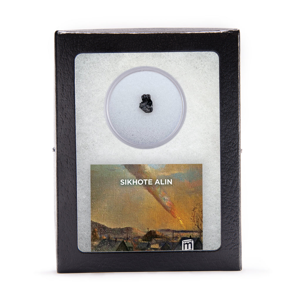 Sikhote Alin Meteorite