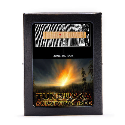 Tunguska Event - Surviving Tree
