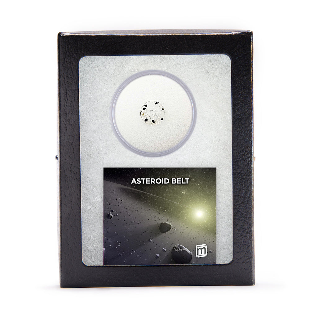 Asteroid Belt HED Meteorite Fragments - Classic Riker Box Specimens, Default Title at Stemcell Science Shop