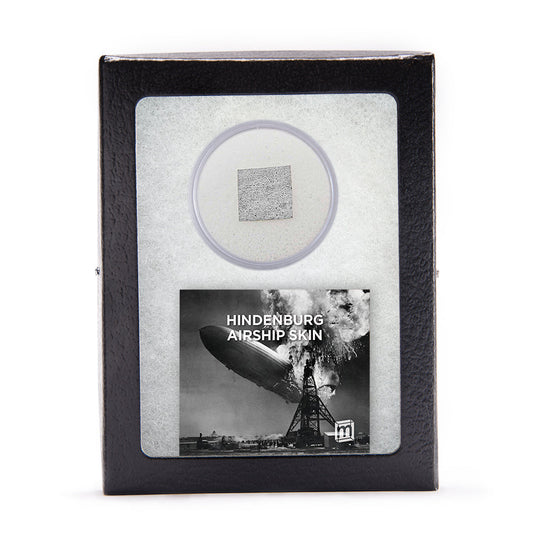 Hindenburg Airship Skin - Large Size