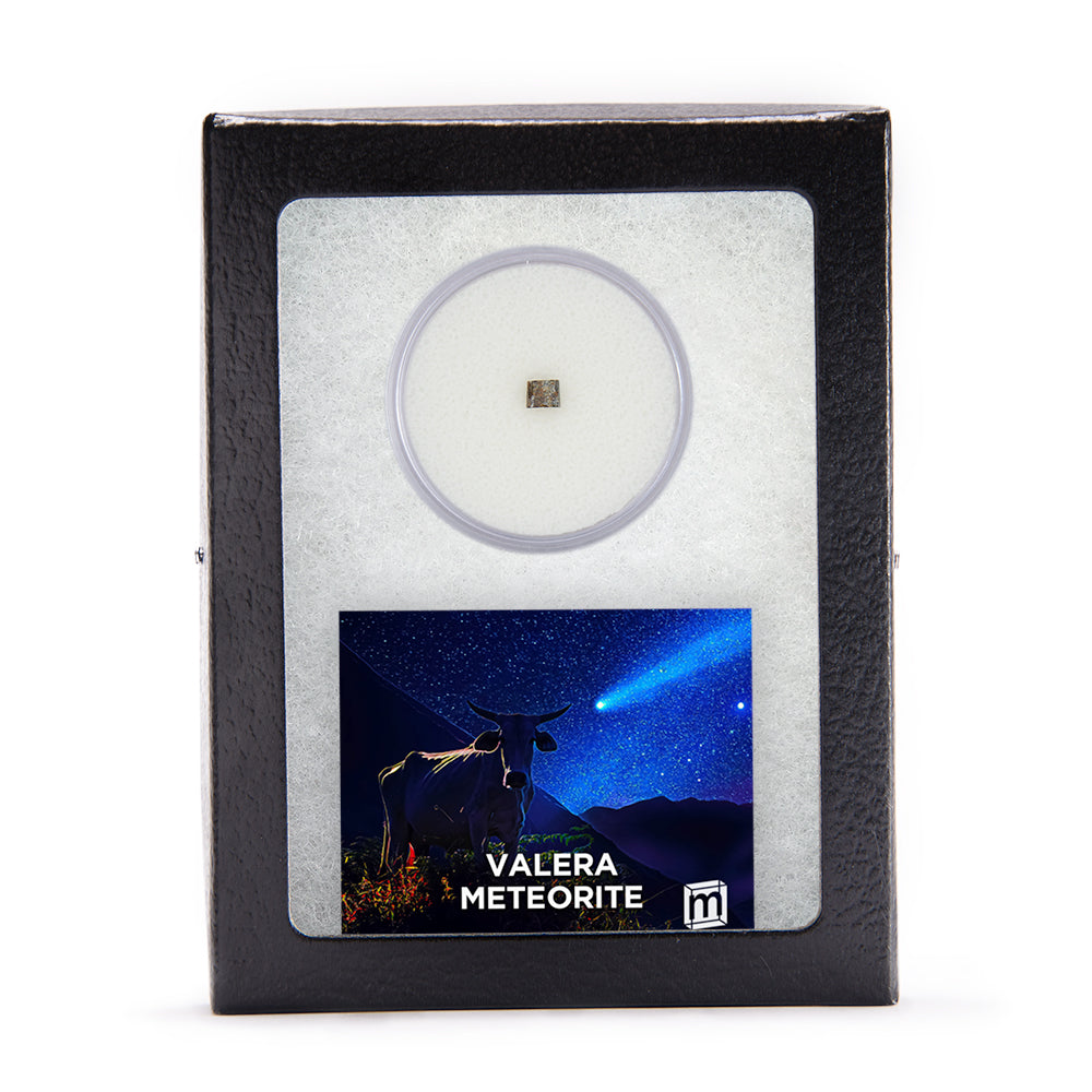 Valera "Cow Killer" Meteorite