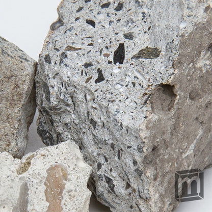 Alcatraz Penitentiary -  Classic Riker Box Specimens