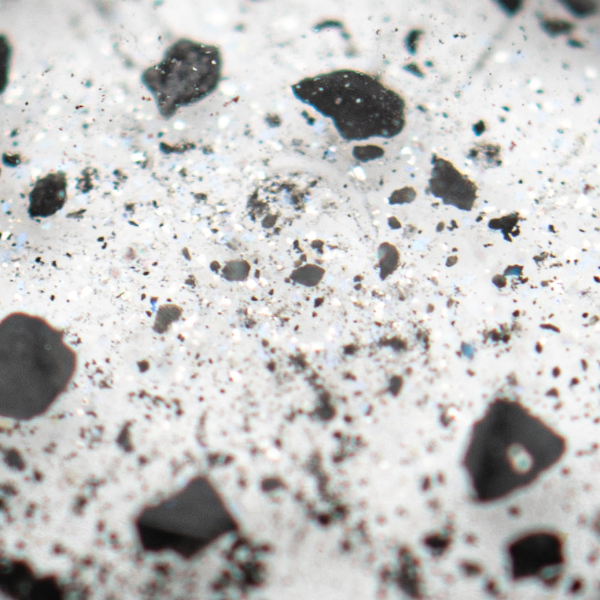 Birth of the Solar System - Allende Meteorite, Default Title at Stemcell Science Shop