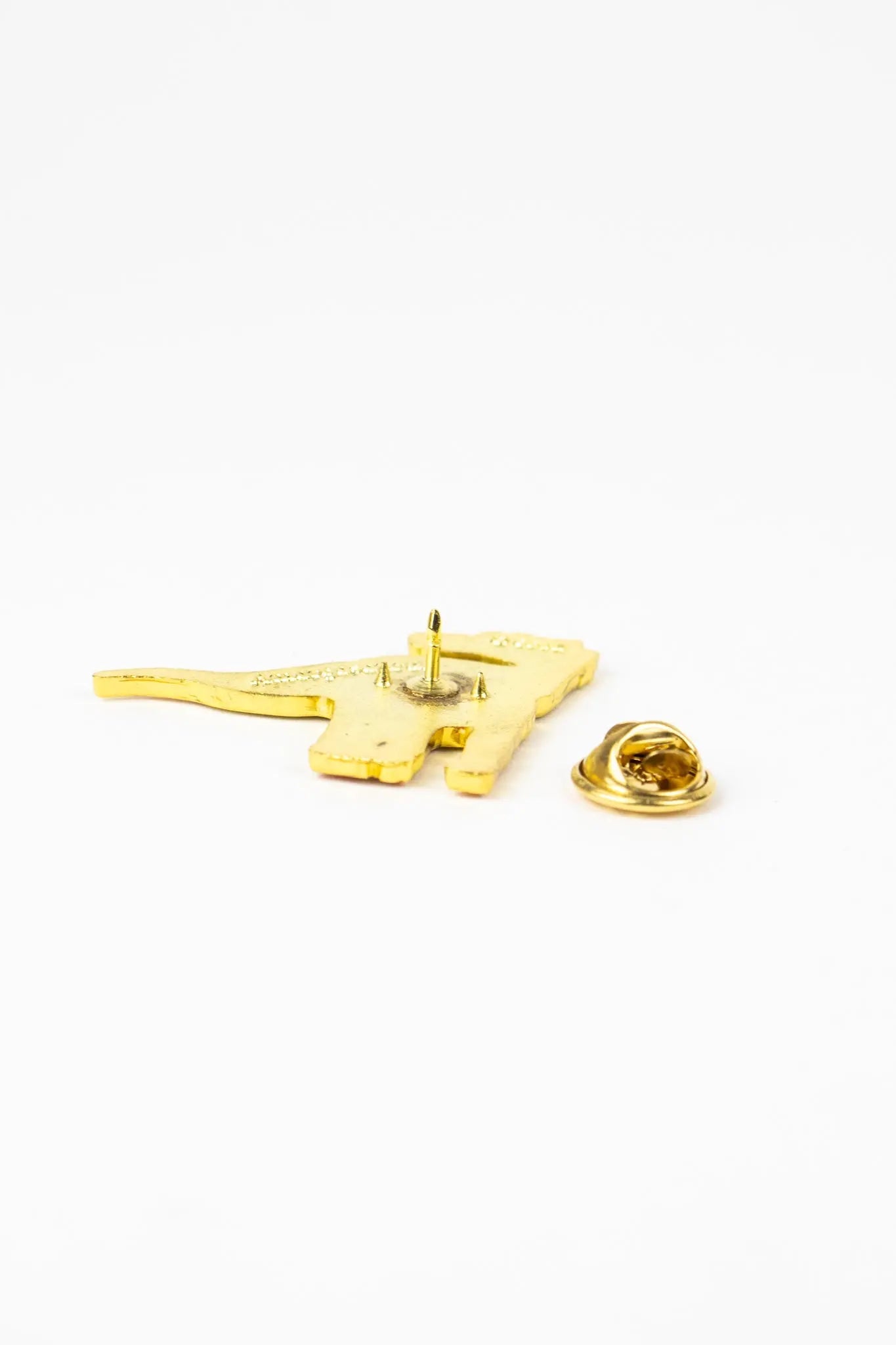Amargasaurus Enamel Pin (Amargasaurus cazaui), Default Title at Stemcell Science Shop