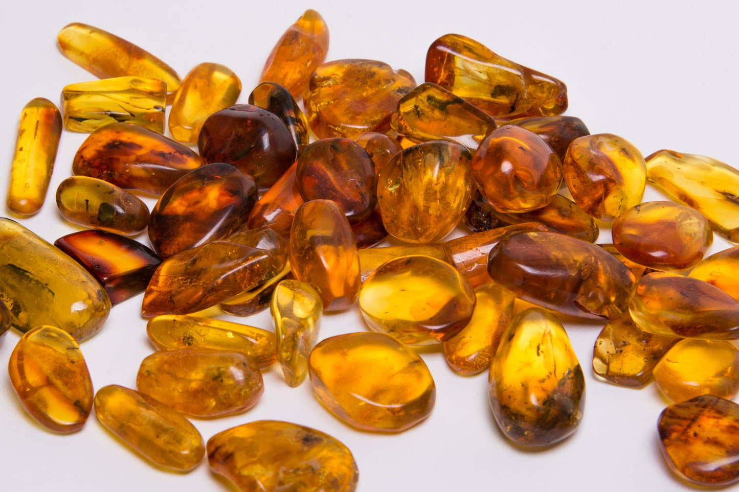 Insect in Amber - Baltic Amber