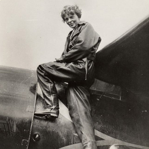 Amelia Earhart Vega 5B Red Fabric - Limited Supply, Default Title at Stemcell Science Shop