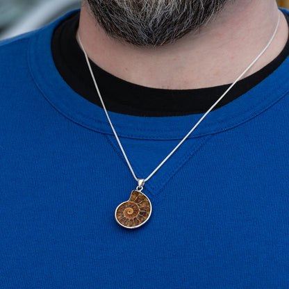 Ammonite Jewelry