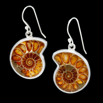 Ammonite Jewelry