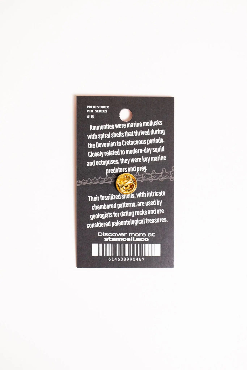 Ammonite Enamel Pin (Ammonoidea), Default Title at Stemcell Science Shop