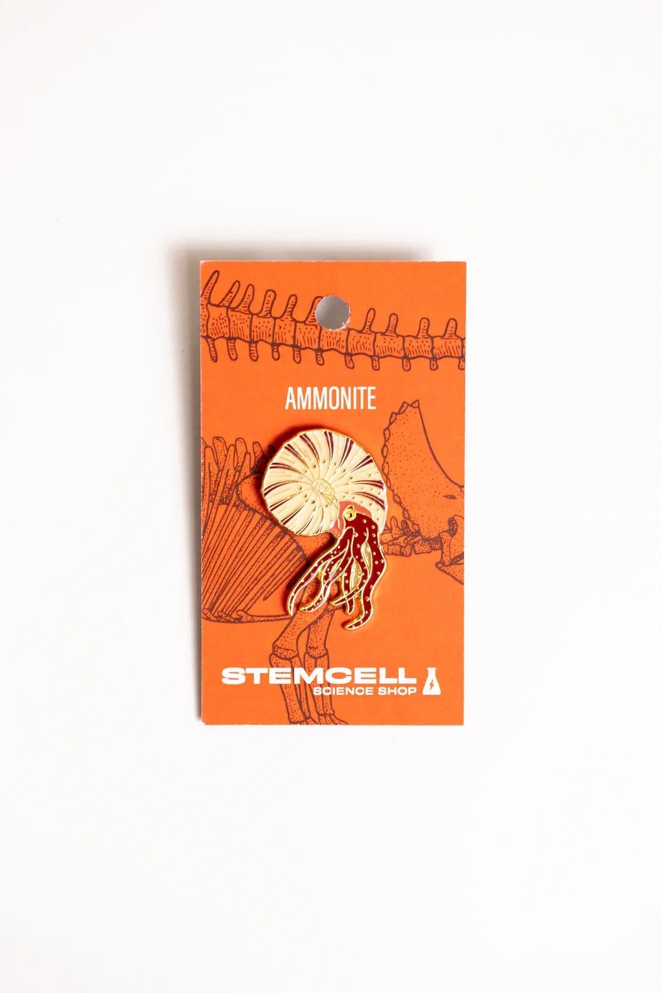 Ammonite Enamel Pin (Ammonoidea), Default Title at Stemcell Science Shop