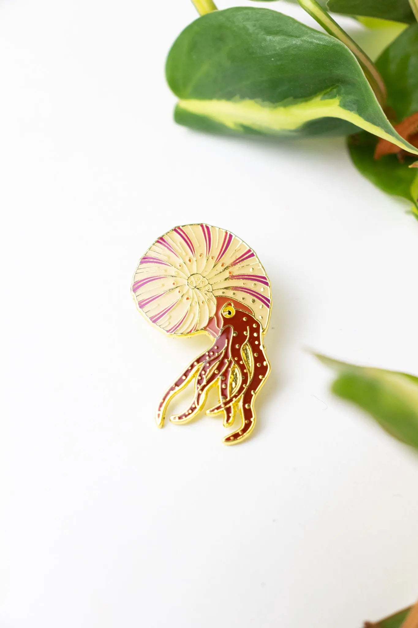 Ammonite Enamel Pin (Ammonoidea), Default Title at Stemcell Science Shop