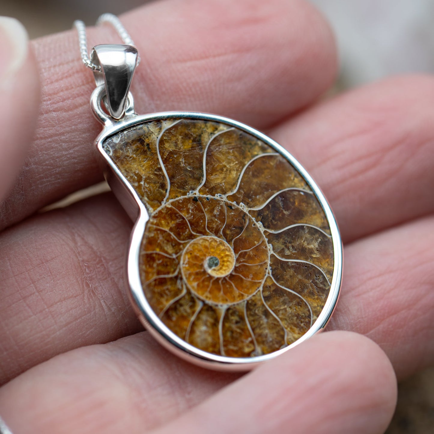 Ammonite Jewelry