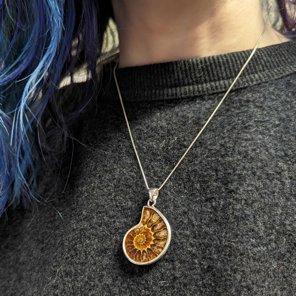 Ammonite Jewelry