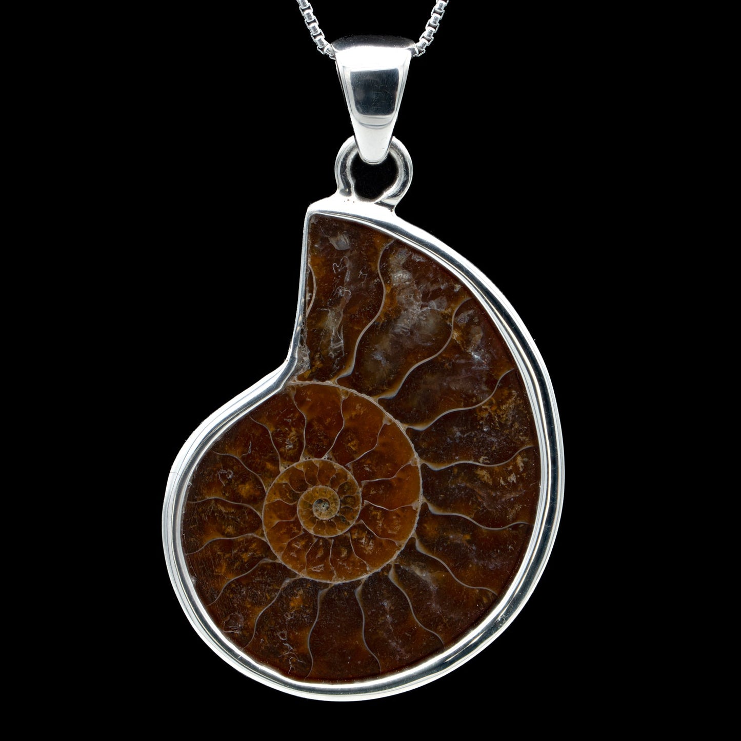 Ammonite Jewelry