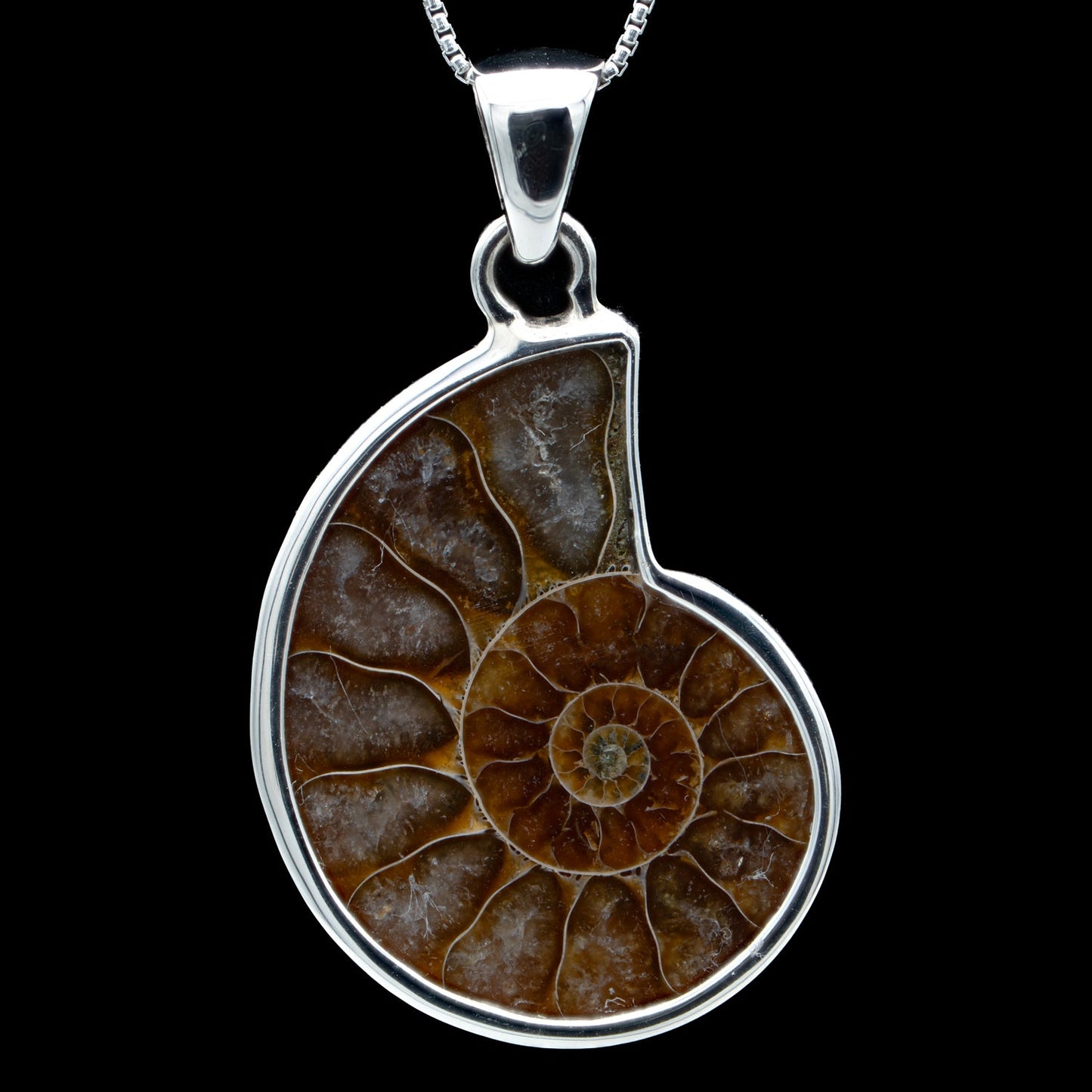 Ammonite Jewelry