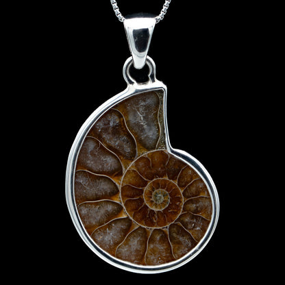 Ammonite Jewelry