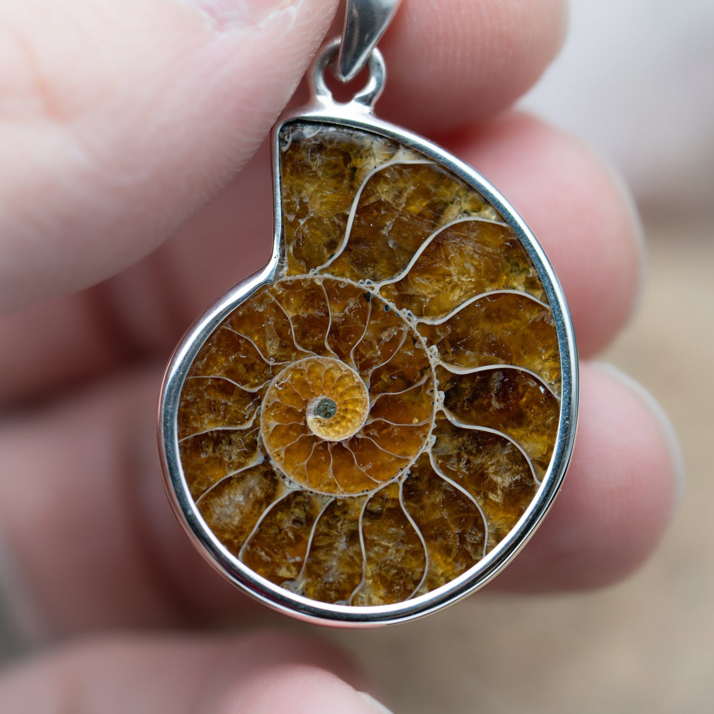 Ammonite Jewelry