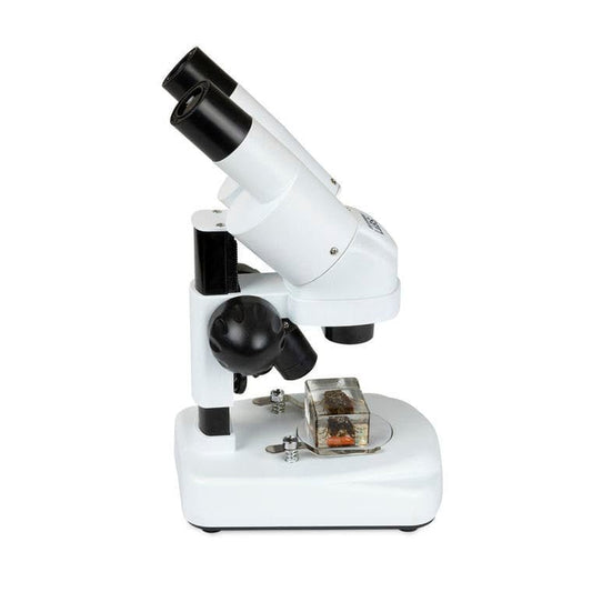Angled Stereo Microscope S20 - Magnification from Stemcell Science Shop