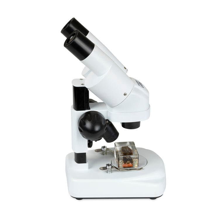 Angled Stereo Microscope S20 Magnification Stemcell Science Shop