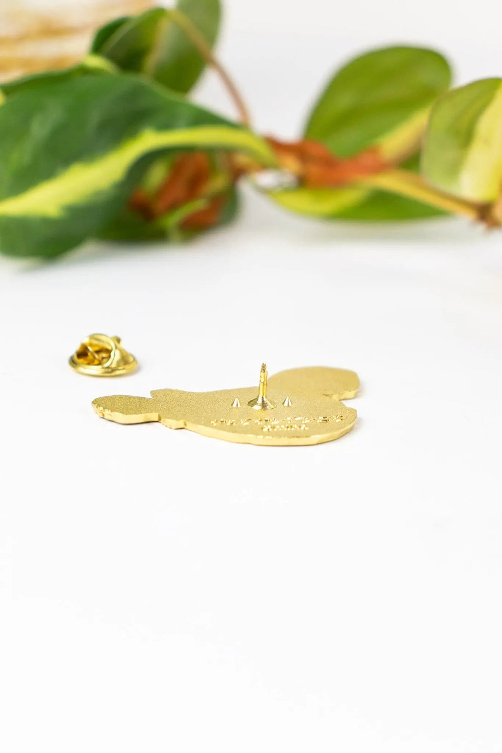 Atlantic Footballfish Enamel Pin (Himantolophus groenlandicus), Default Title at Stemcell Science Shop