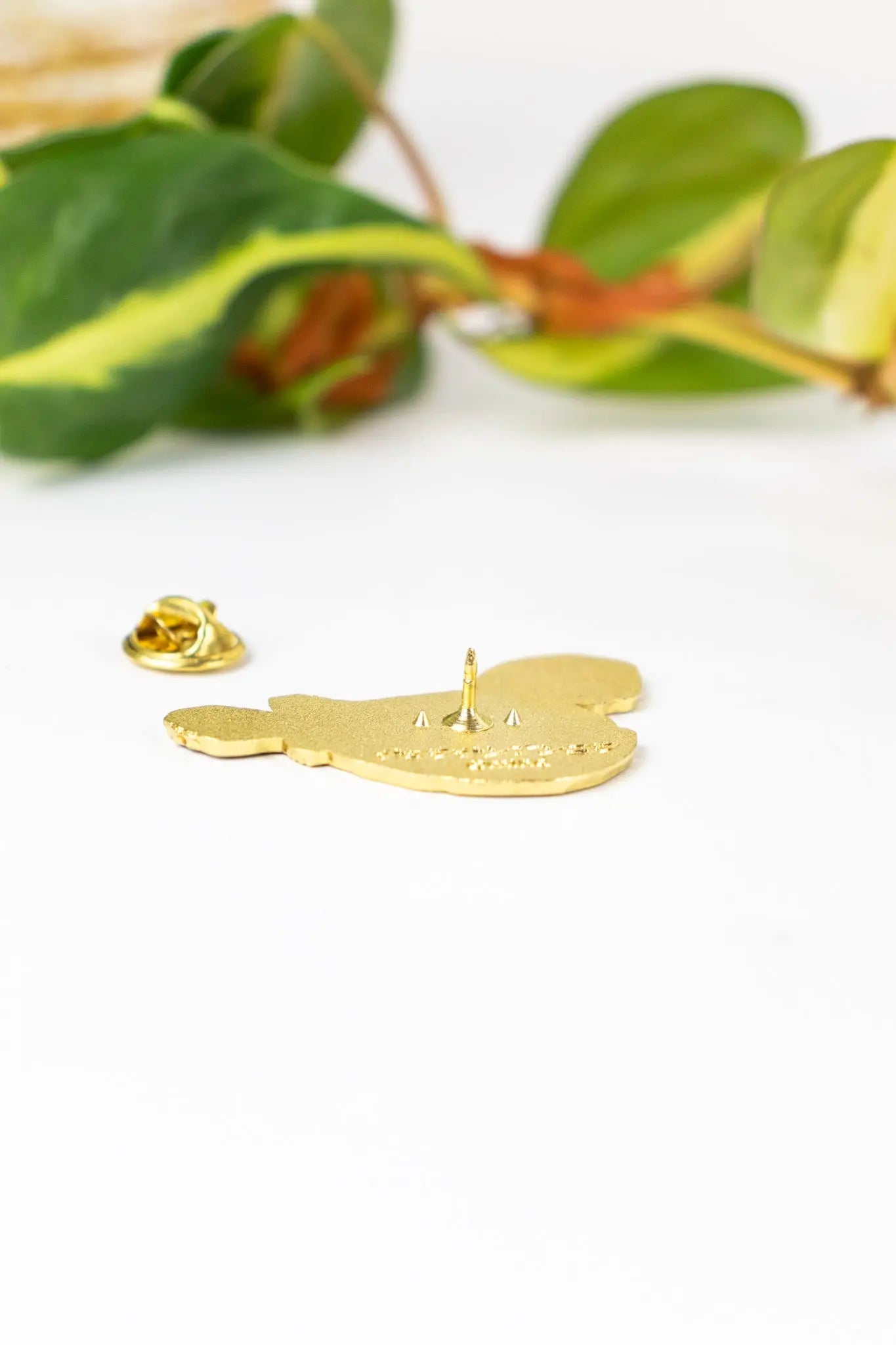 Atlantic Footballfish Enamel Pin (Himantolophus groenlandicus), Default Title at Stemcell Science Shop