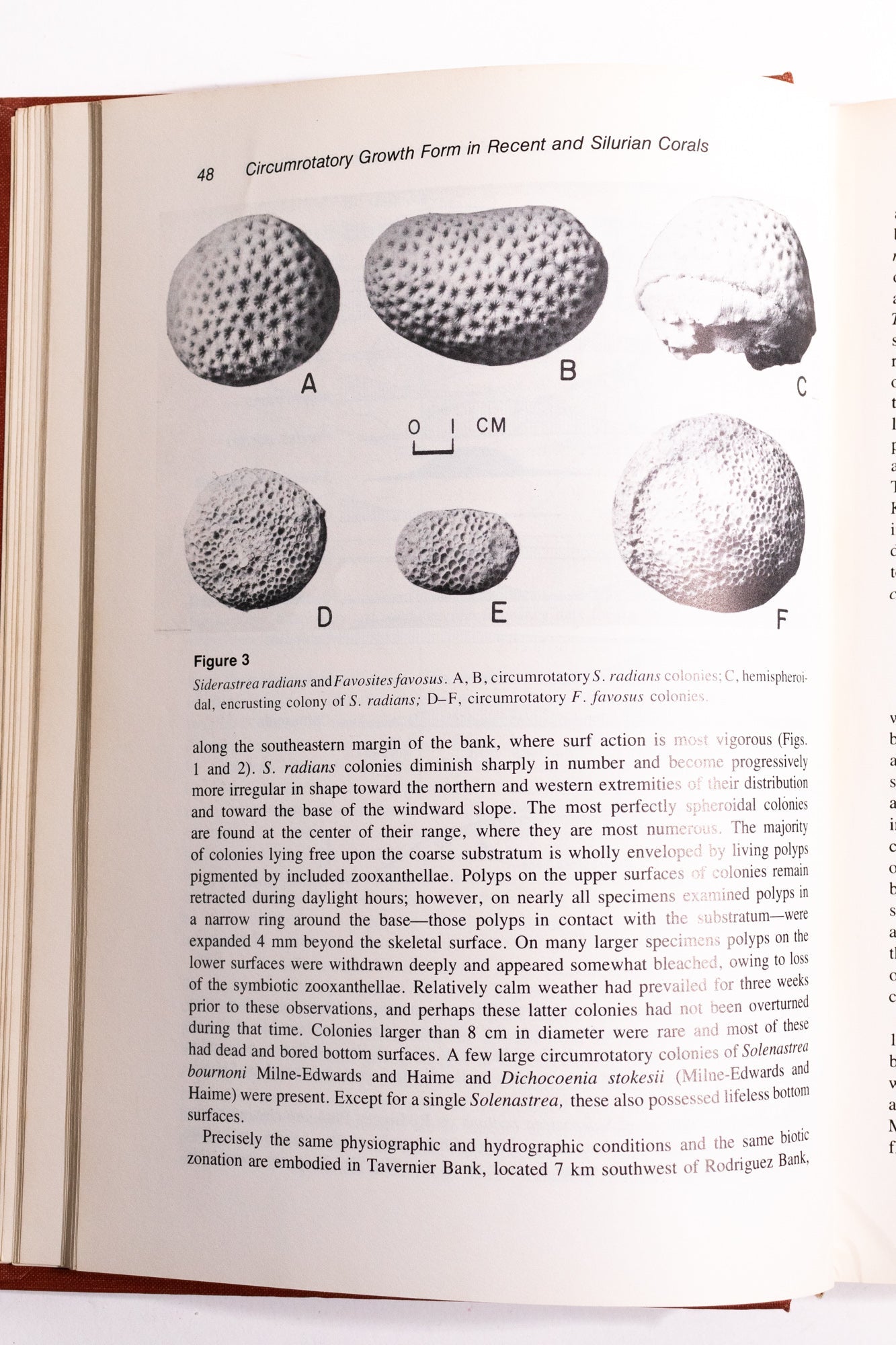 Animal Colonies: Development and Function Through Time - Books from Stemcell Science Shop