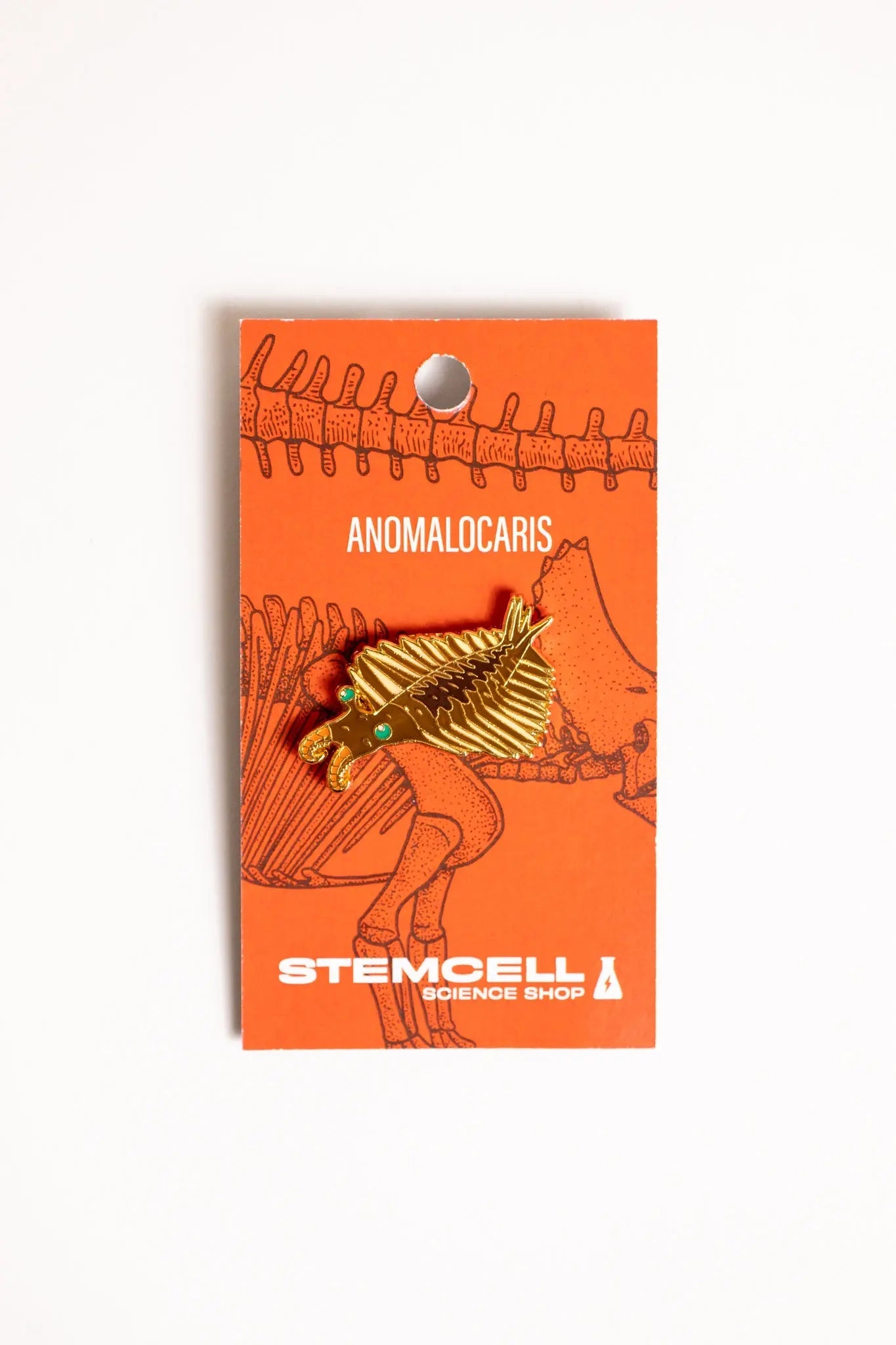 Anomalocaris Enamel Pin (Anomalocaris canadensis), Default Title at Stemcell Science Shop
