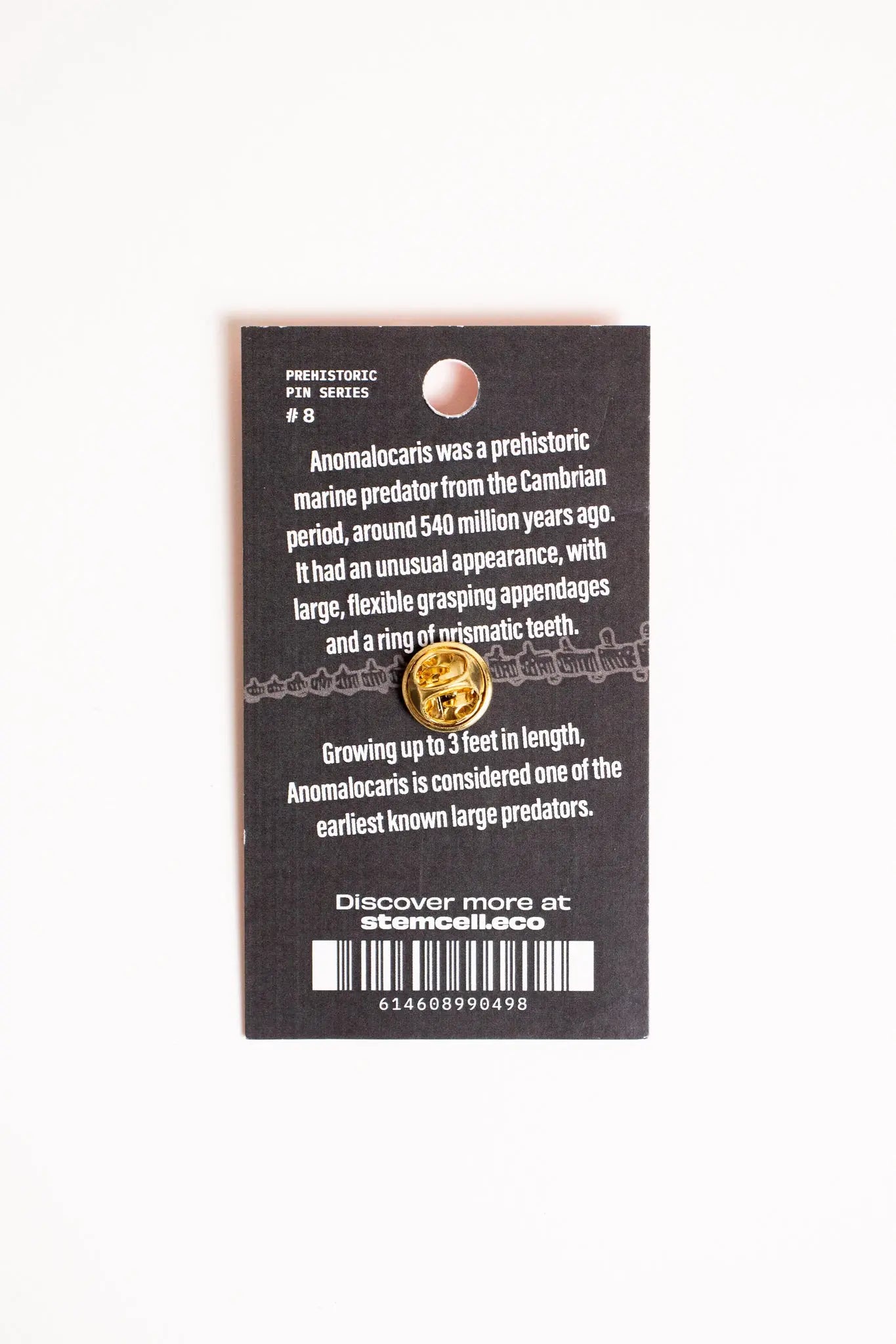 Anomalocaris Enamel Pin (Anomalocaris canadensis), Default Title at Stemcell Science Shop