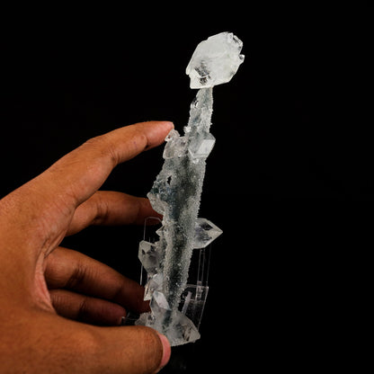 Apophyllite Crystals on Sparkling MM Quartz Stalactite Natural Mineral Specimen # B 6079