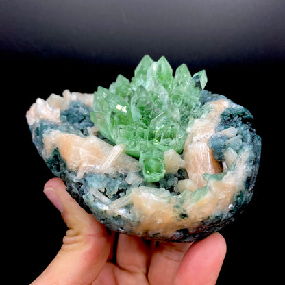 Apophyllite Green Flower on Chalcedony Natural Mineral Specimen, Default Title at Stemcell Science Shop
