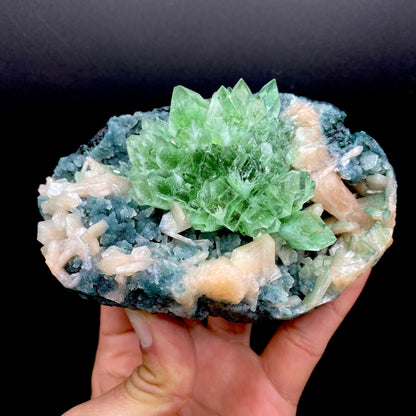 Apophyllite Green Flower on Chalcedony Natural Mineral Specimen, Default Title at Stemcell Science Shop