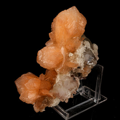 Apophyllite with Stilbite Natural Mineral Specimen # B 6457