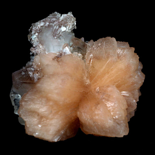 Apophyllite With Stilbite Perfect Bow-Tie formation Natural Mineral Specimen  # B 4796