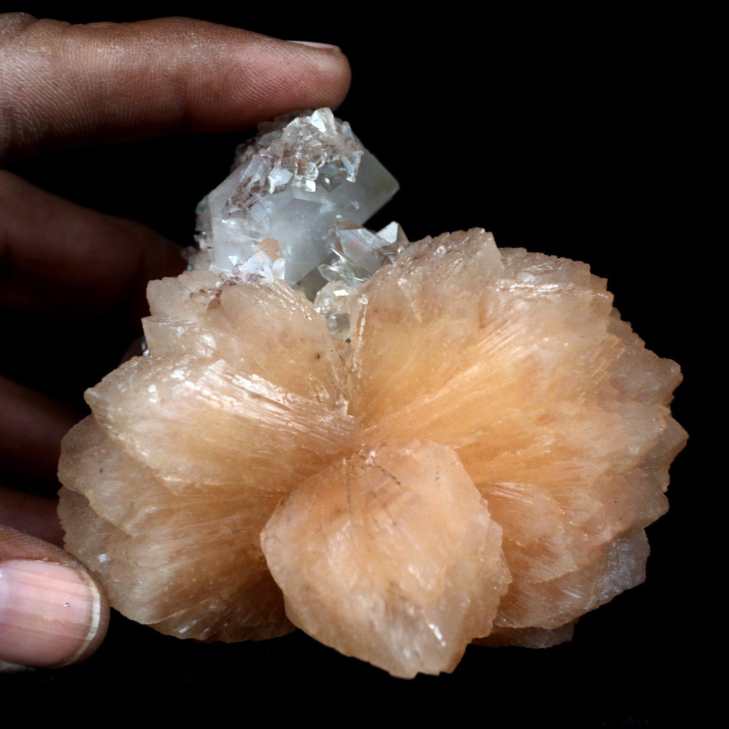 Apophyllite With Stilbite Perfect Bow-Tie formation Natural Mineral Specimen  # B 4796