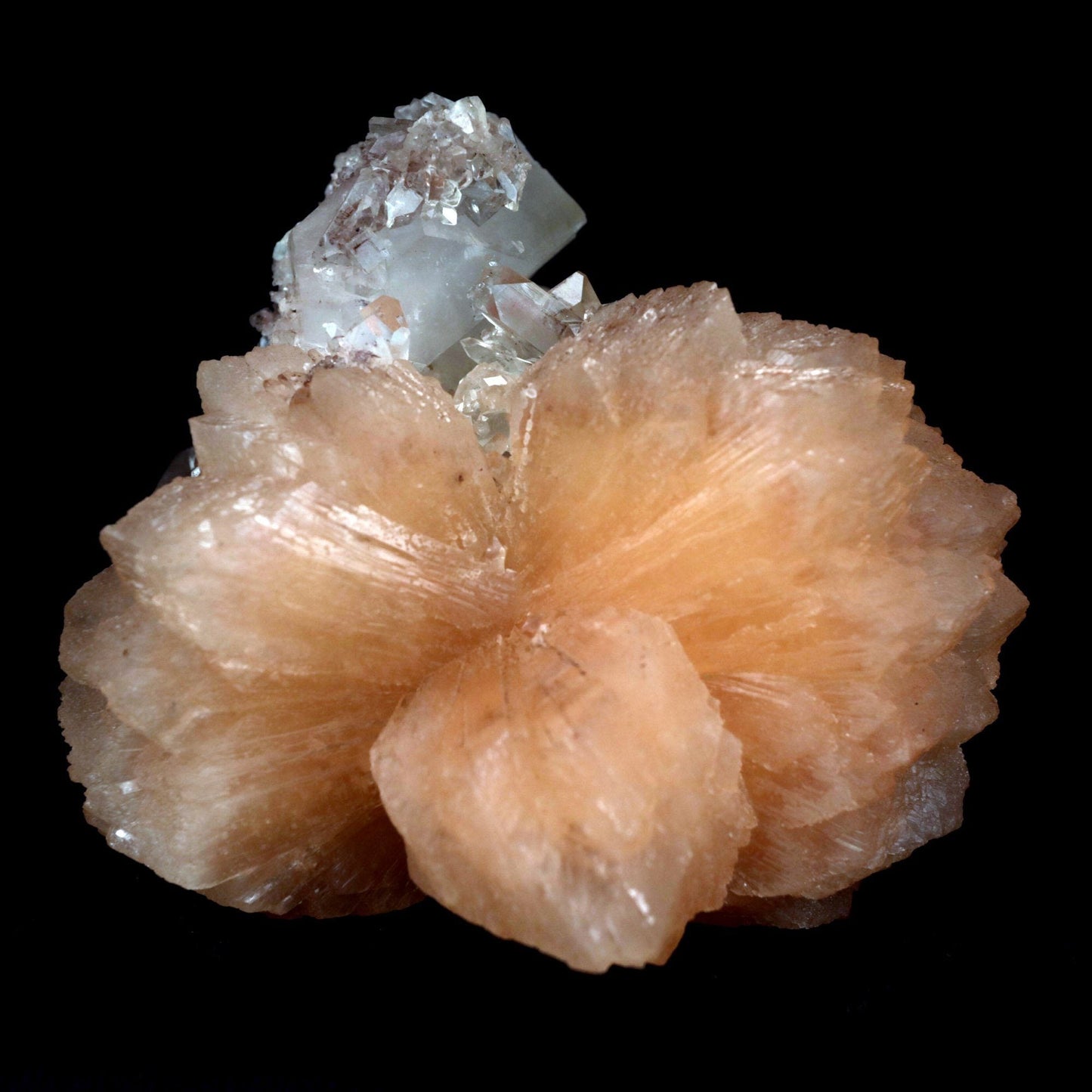 Apophyllite With Stilbite Perfect Bow-Tie formation Natural Mineral Specimen  # B 4796