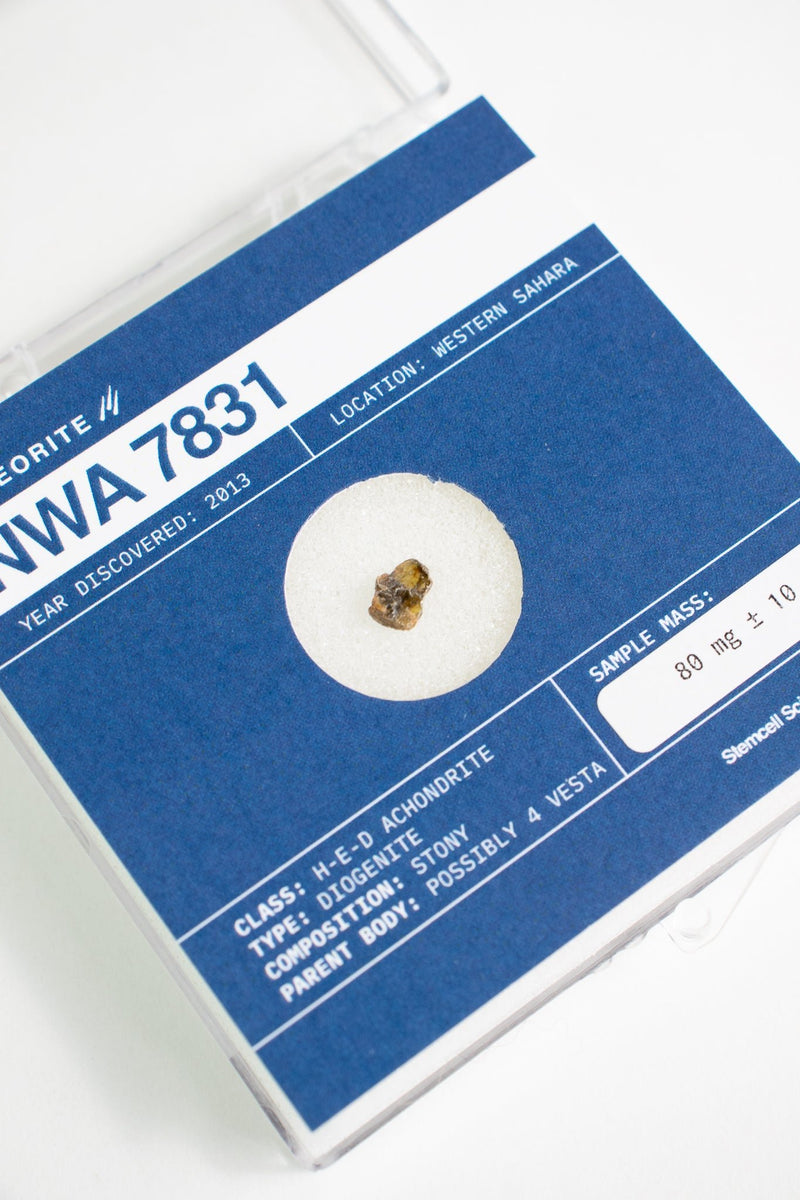 Asteroid 4 Vesta Meteorite, 0.10 g ± 0.05 g at Stemcell Science Shop