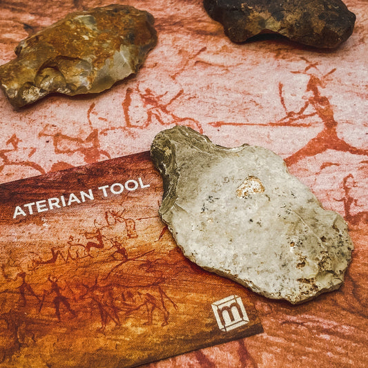 Aterian Tools