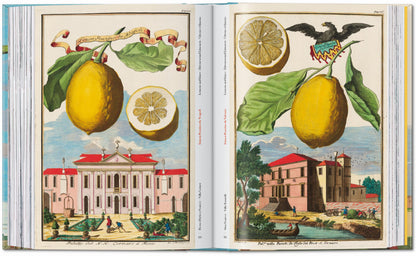 J. C. Volkamer. The Book of Citrus Fruits. 45th Ed. (German, French, English)