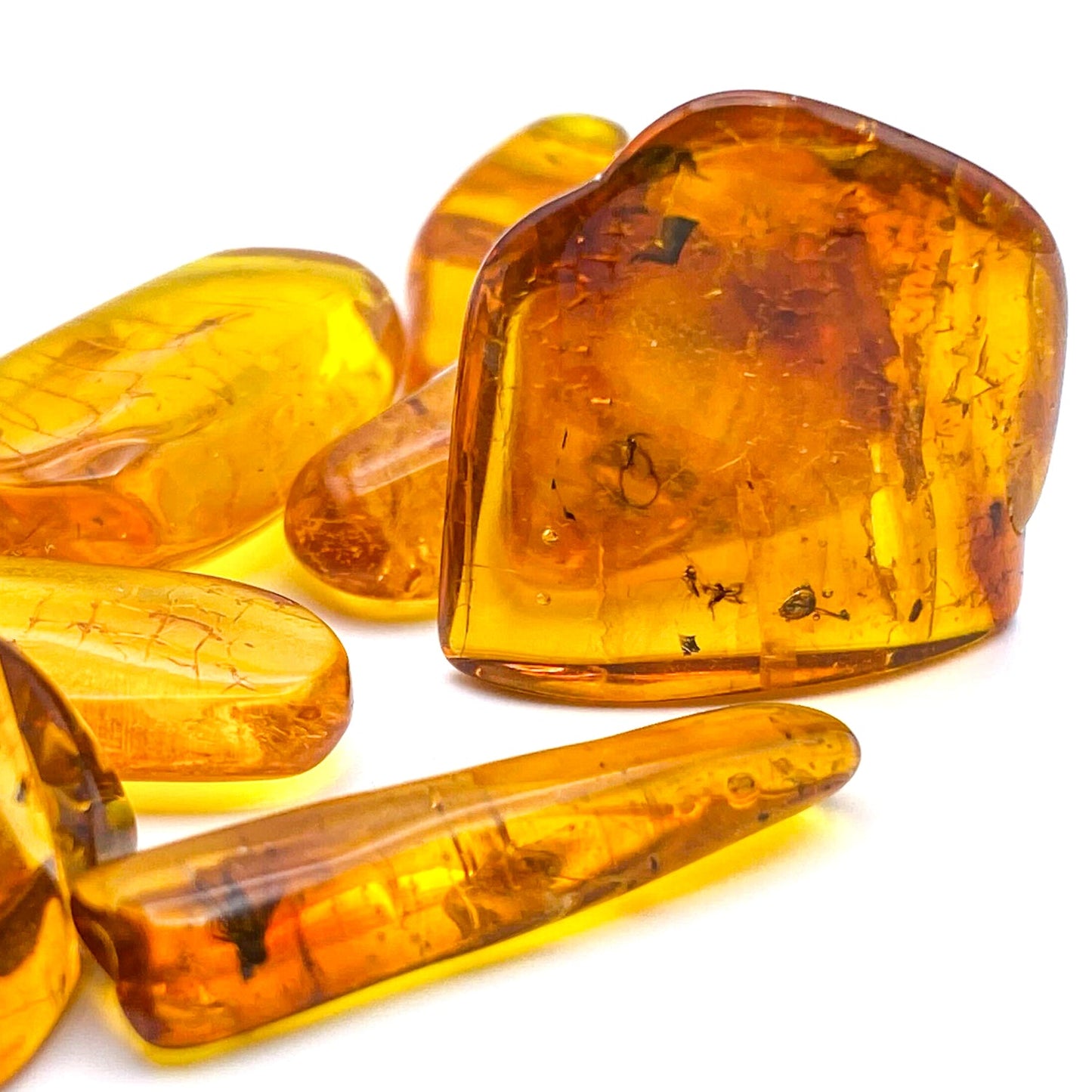 Insect in Amber - Baltic Amber