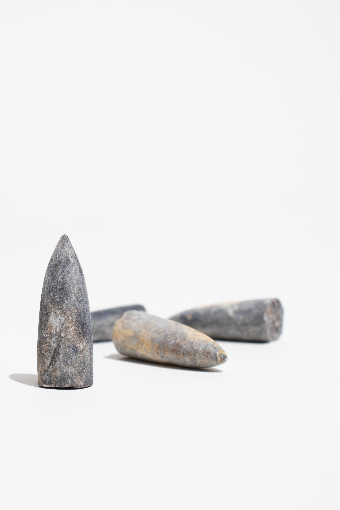 Belemnite Fossil, Default Title at Stemcell Science Shop