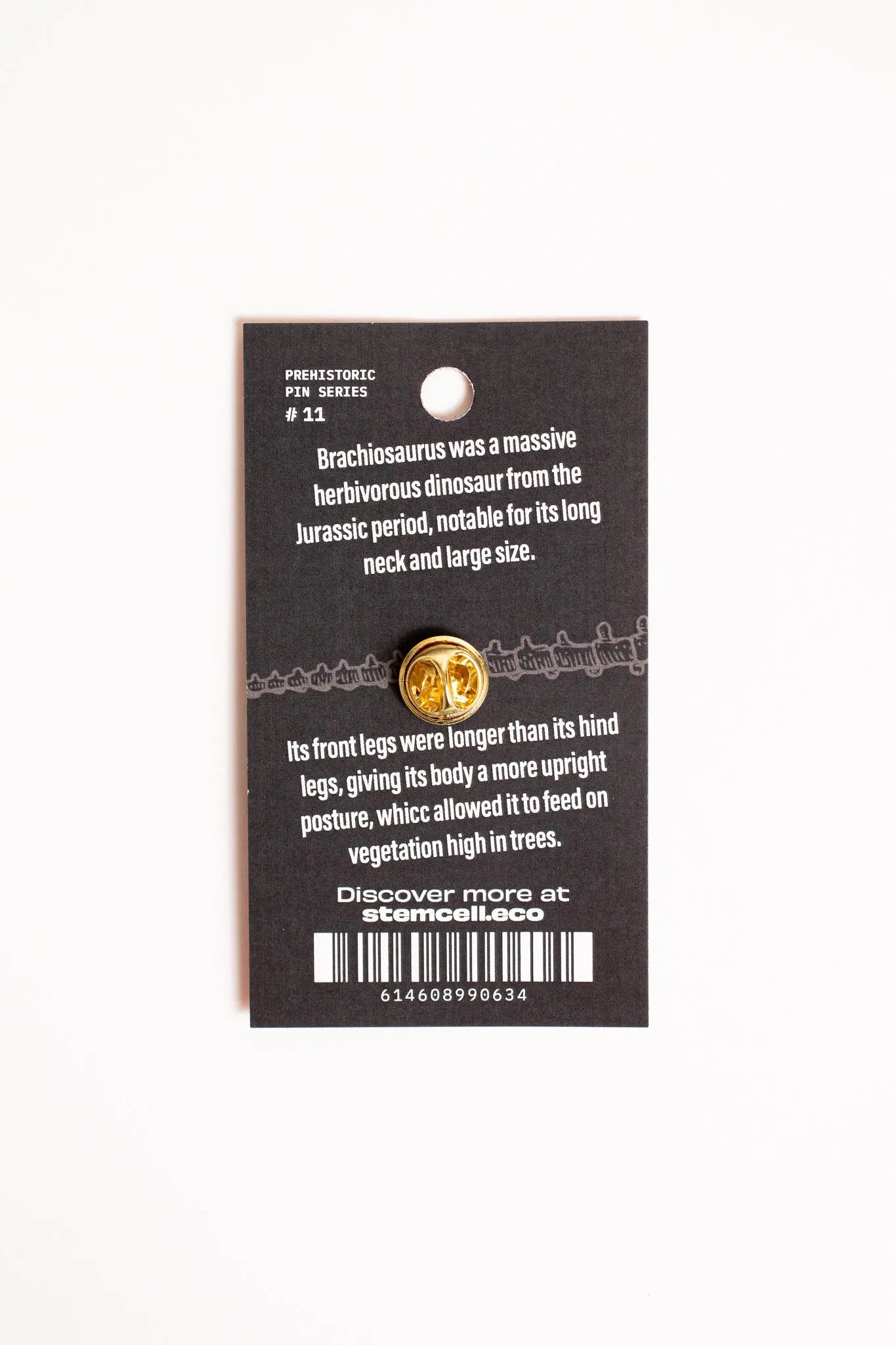 Brachiosaurus Enamel Pin (Brachiosaurus altithorax), Default Title at Stemcell Science Shop