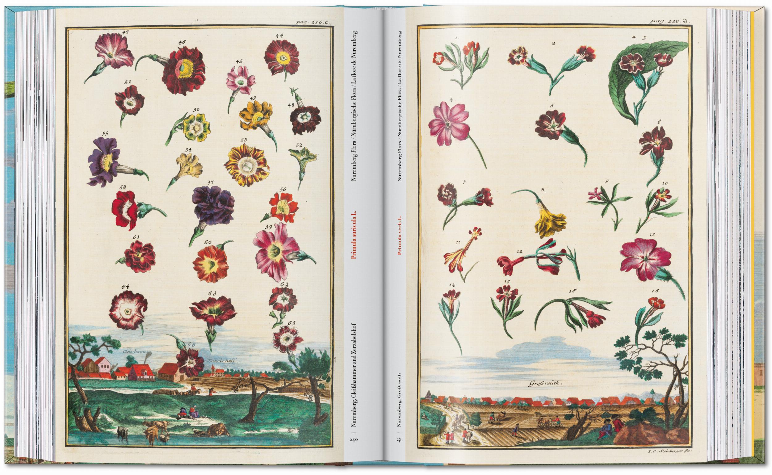 J. C. Volkamer. The Book of Citrus Fruits. 45th Ed. (German, French, English)