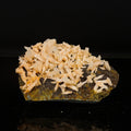 Calcite Rare New Find Natural Mineral Specimen # B 6760