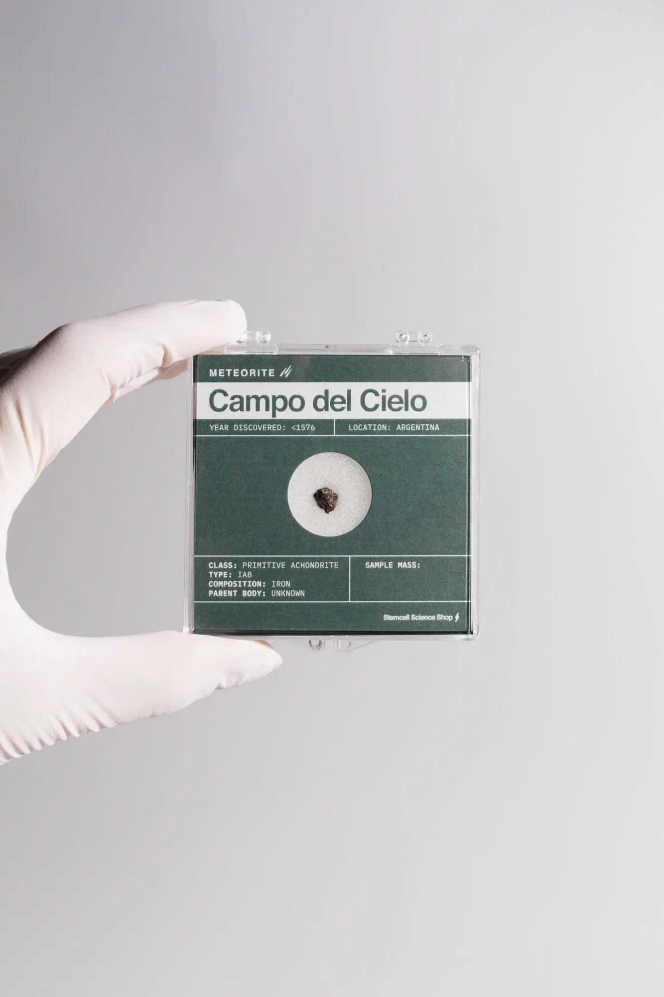 Campo del Cielo Meteorite Rocks & Minerals Stemcell Science Shop