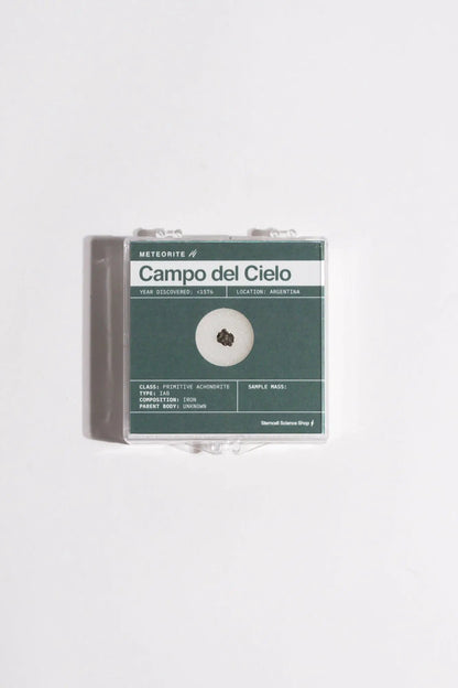 Campo del Cielo Meteorite Rocks & Minerals Stemcell Science Shop