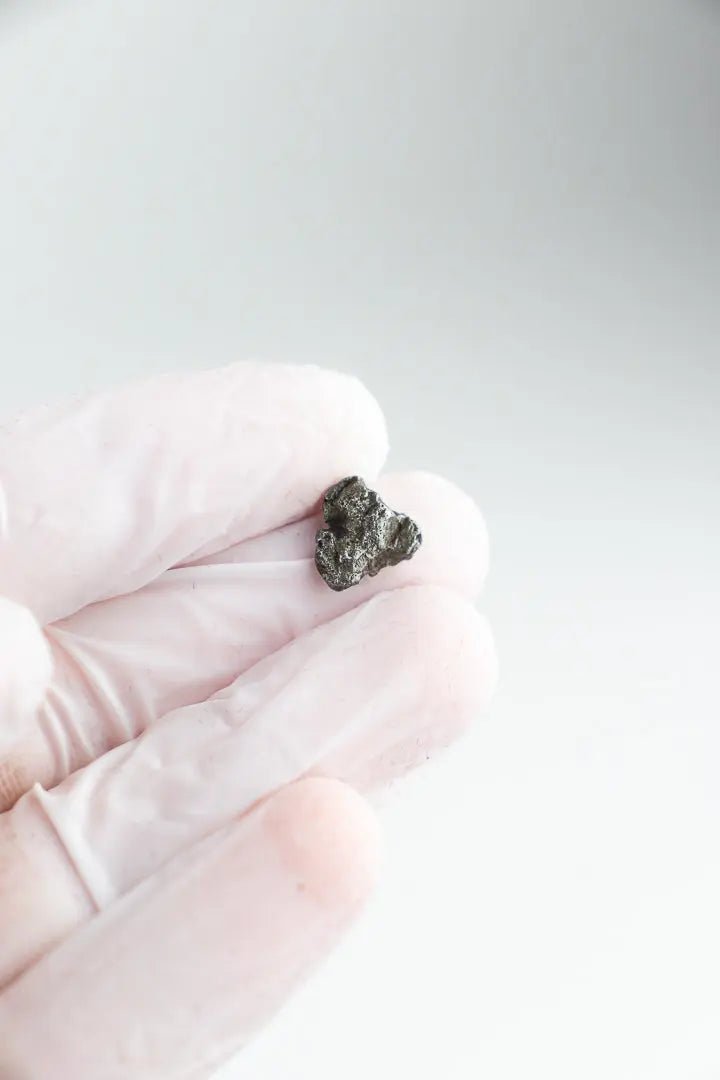 Campo del Cielo Meteorite Rocks & Minerals Stemcell Science Shop