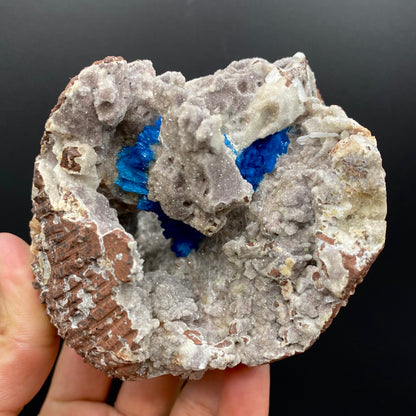 Cavansite Deep Blue in geode Natural Mineral Specimen # DK186